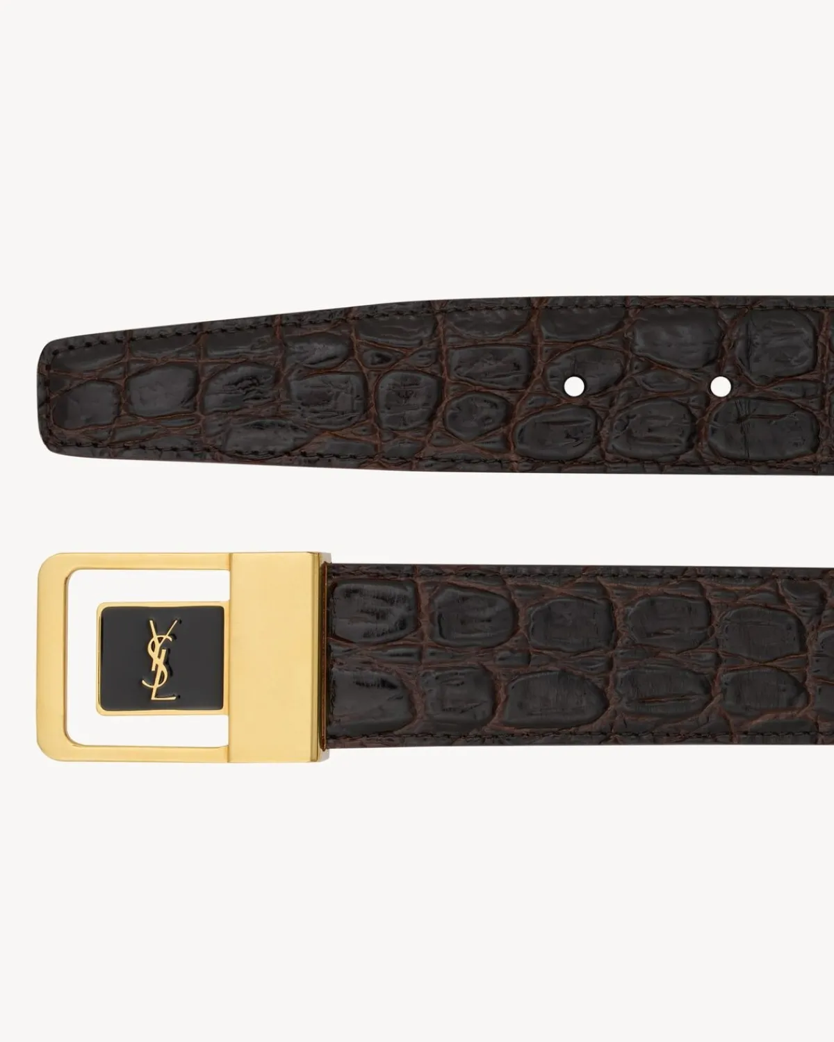 Saint Laurent Belts | Belts-LA 66 buckle belt in crocodile-embossed leather PINEBROWN