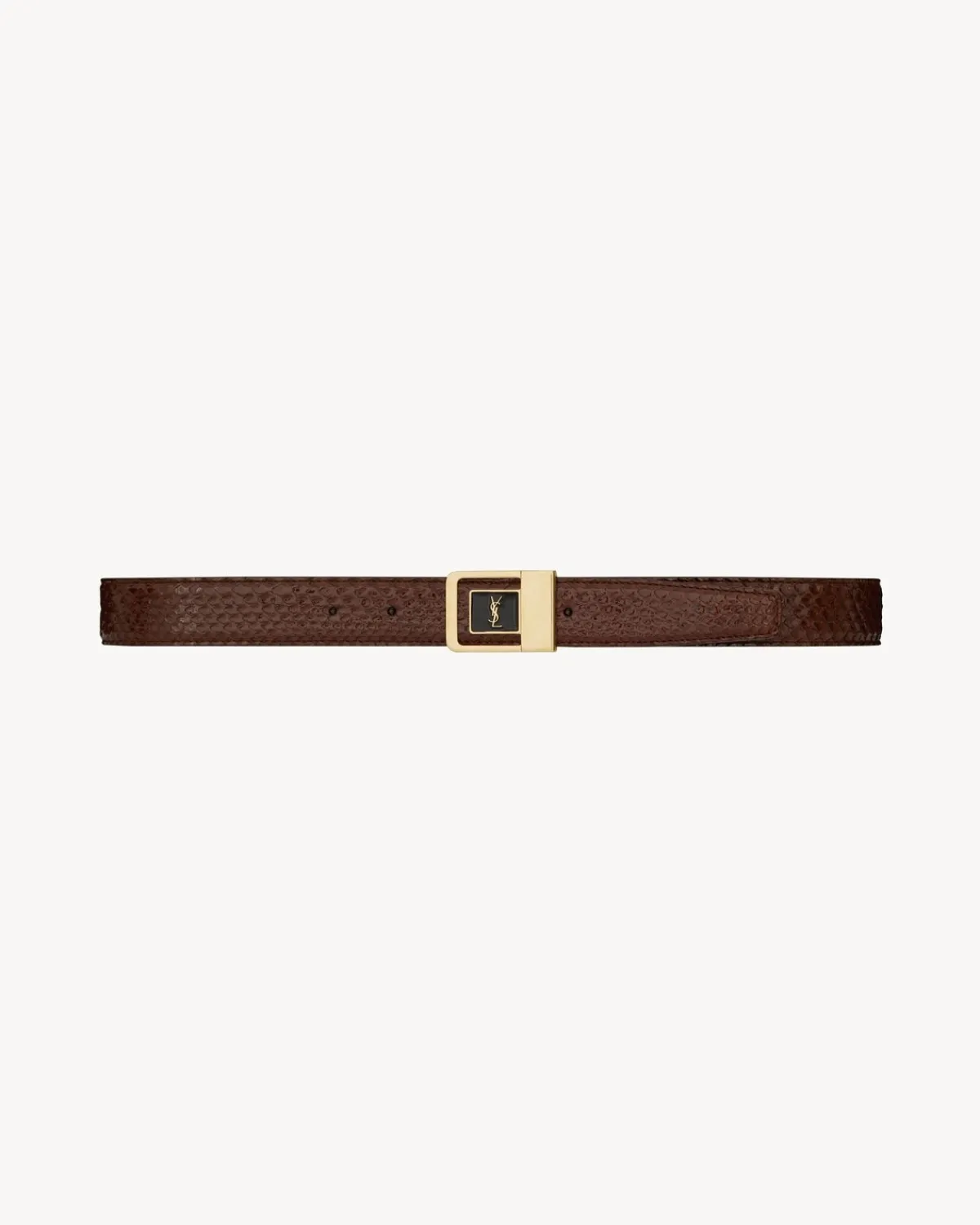 Saint Laurent Belts-LA 66 buckle belt in python SIENNABROWNANDBLACK