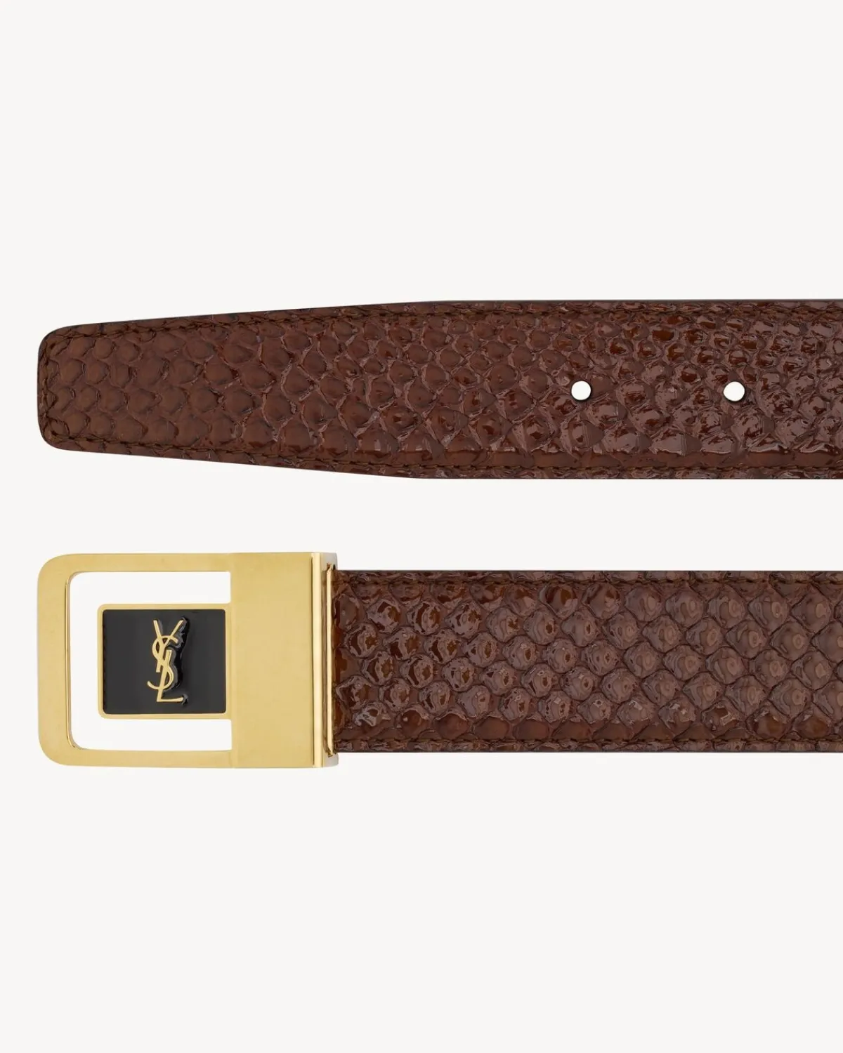 Saint Laurent Belts-LA 66 buckle belt in python SIENNABROWNANDBLACK